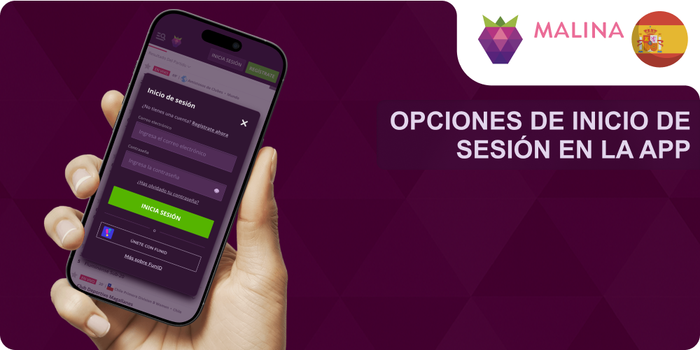 Opciones de acceso app Malina Casino
