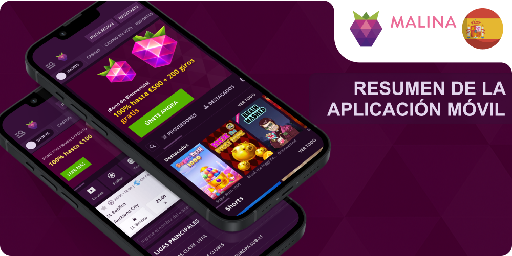 Resumen app móvil Malina Casino